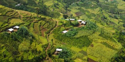 Ethiopian highlands coffee farming region