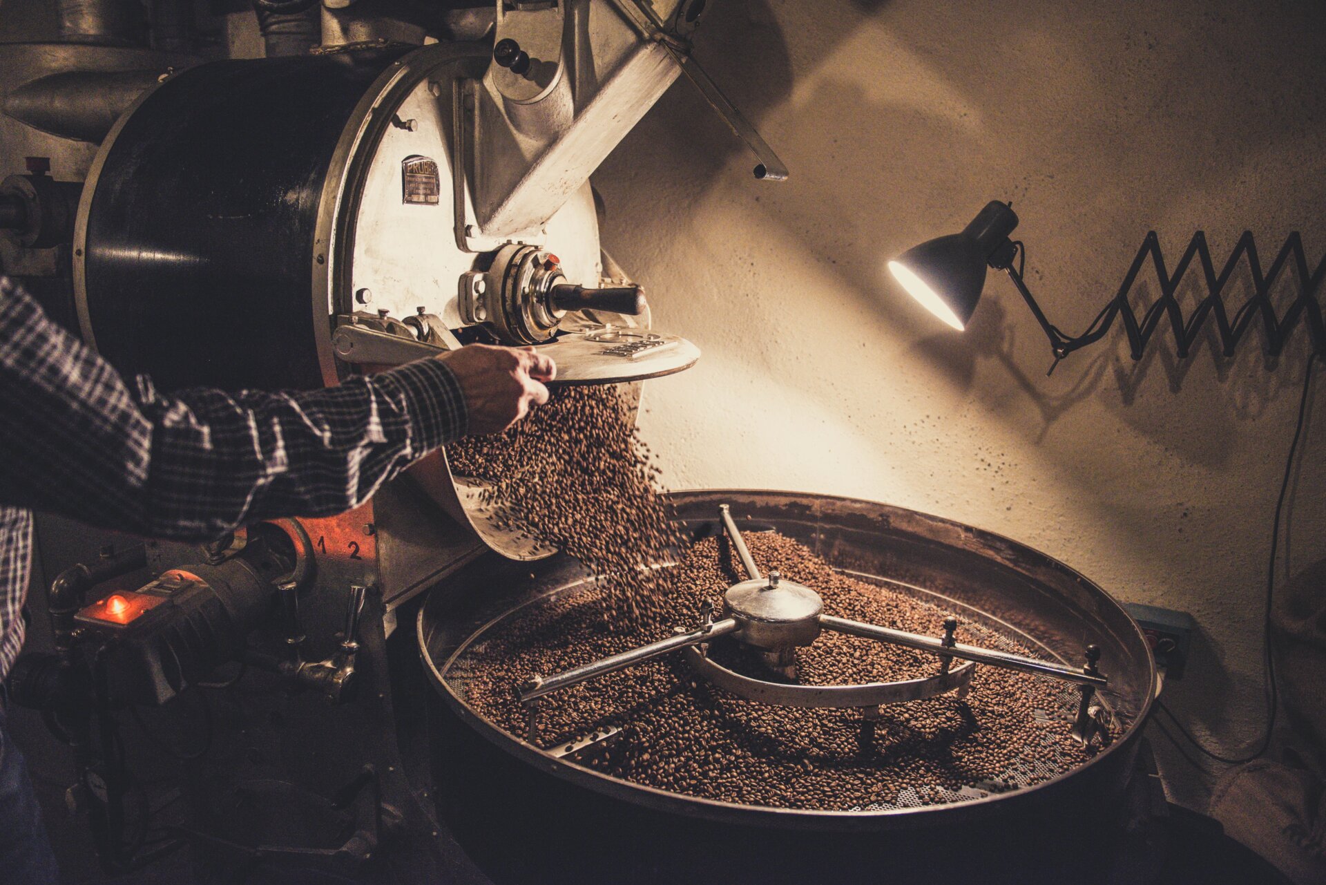 Coffee roaster pouring freshly roasted beans into cooling tray